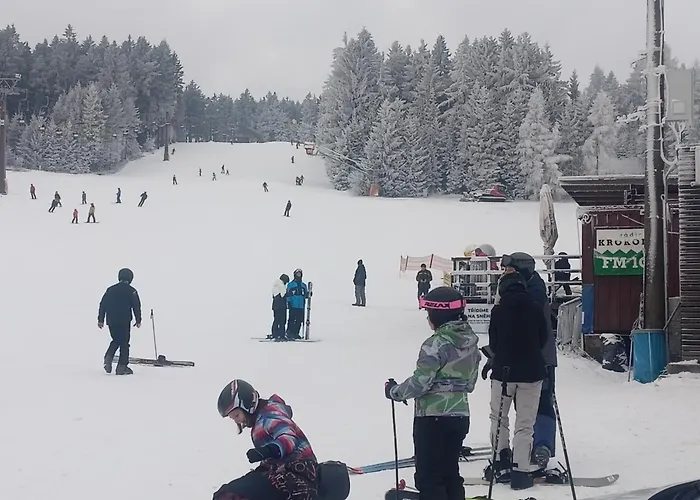 アパート Tourist Vysocina Biatlon